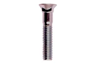 Carriage Bolts